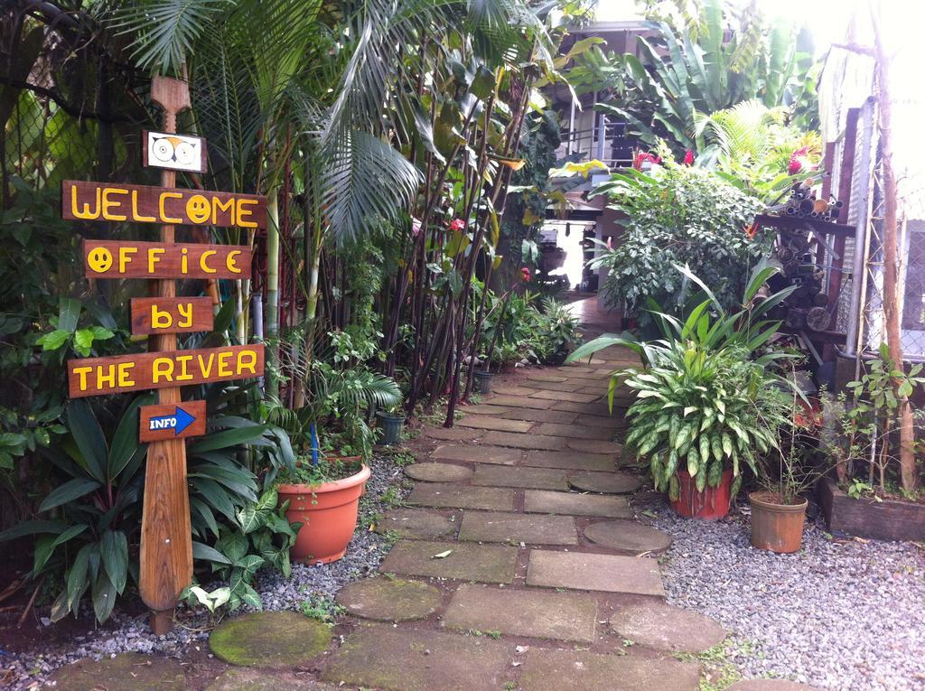 Tortuguero Adventures GuestHouse Exterior foto
