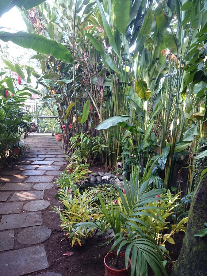 Tortuguero Adventures GuestHouse Exterior foto